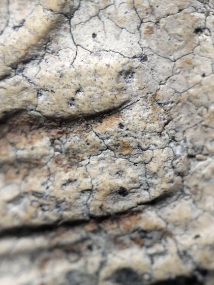 ❌ปิดครับ❌พระสมเด็จงามๆครับ รูปที่ 12