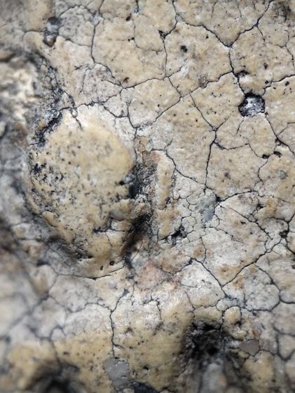 ❌ปิดครับ❌พระสมเด็จงามๆครับ รูปที่ 5