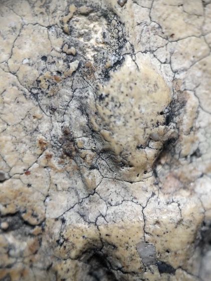 ❌ปิดครับ❌พระสมเด็จงามๆครับ รูปที่ 3