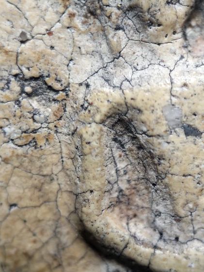 ❌ปิดครับ❌พระสมเด็จงามๆครับ รูปที่ 11