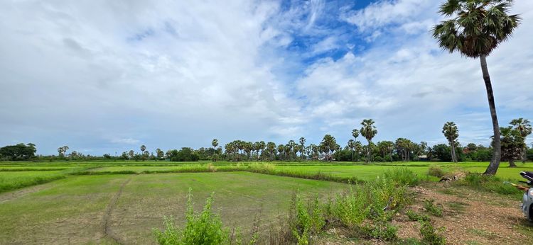 📢ที่ดินสวย🎯วิวภูเขา⛰ทุ่งนาป่าตาล🌴บรรยากาศดี🏞อุดมสมบูรณ์ 🌟2ไร่2งาน24ตรว.👑 ในชุมชน🧘ติดถนน🏡หมู่บ้าน ใกล้ไฟฟ้า🛜ประปา🌊คลอง🏧สาธารณูปโภค รูปที่ 4