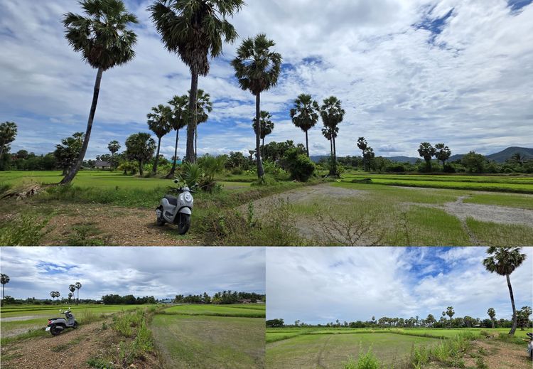 📢ที่ดินสวย🎯วิวภูเขา⛰ทุ่งนาป่าตาล🌴บรรยากาศดี🏞อุดมสมบูรณ์ 🌟2ไร่2งาน24ตรว.👑 ในชุมชน🧘ติดถนน🏡หมู่บ้าน ใกล้ไฟฟ้า🛜ประปา🌊คลอง🏧สาธารณูปโภค