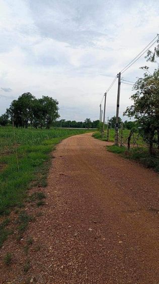 ขายที่ดินสวย รูปที่ 4