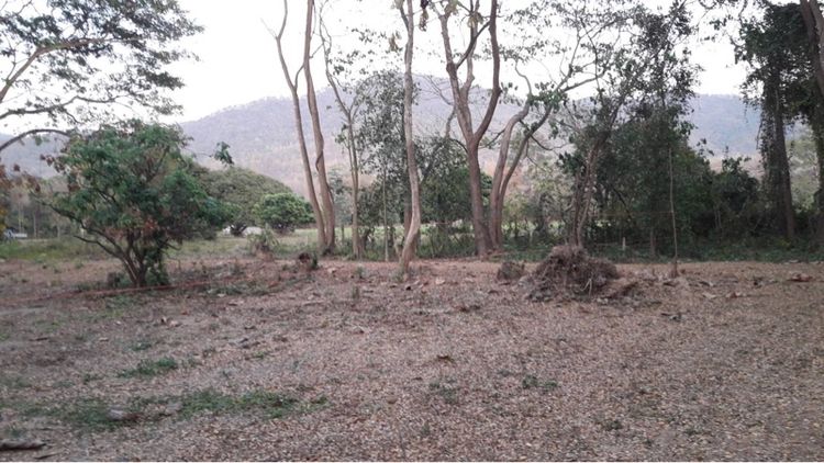 ไม่ใช่ ต้องการขายที่ดิน อยู่ในวังธาร รีสอร์ท ถมแล้วใกล้เขื่อนแม่กวงเชียงใหม่ รูปที่ 2