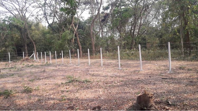 ไม่ใช่ ต้องการขายที่ดิน อยู่ในวังธาร รีสอร์ท ถมแล้วใกล้เขื่อนแม่กวงเชียงใหม่ รูปที่ 3