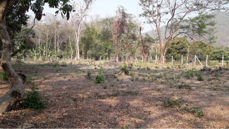 ไม่ใช่ ต้องการขายที่ดิน อยู่ในวังธาร รีสอร์ท ถมแล้วใกล้เขื่อนแม่กวงเชียงใหม่ รูปที่ 4