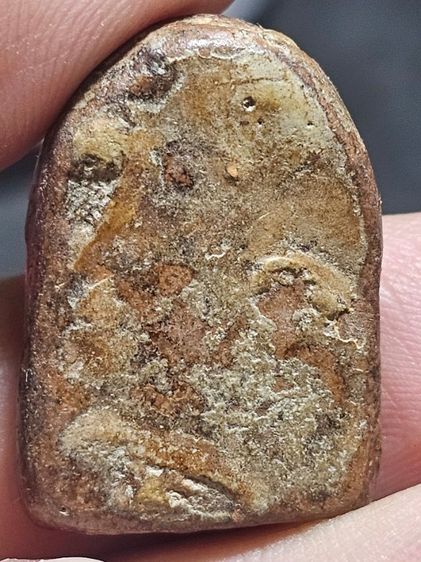 ชุ้มกอพิมพ์กลาง