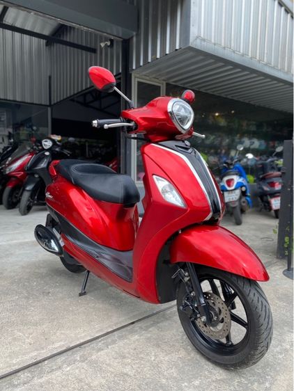 grandfilano  รูปที่ 2