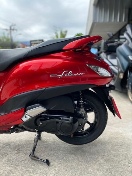 grandfilano  รูปที่ 10