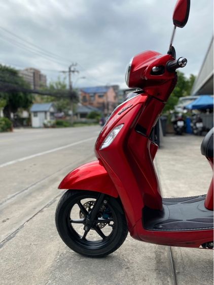 grandfilano  รูปที่ 9