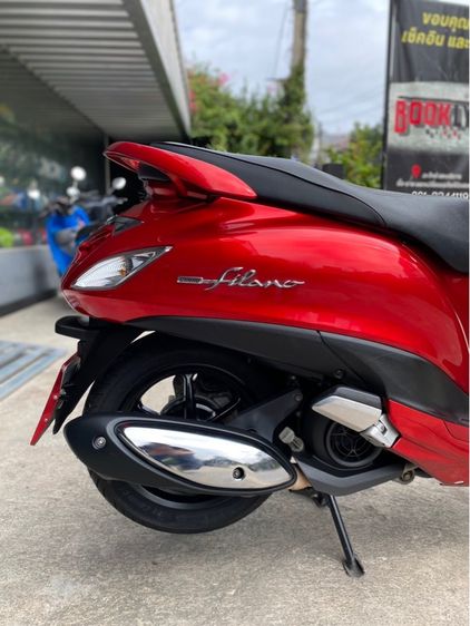 grandfilano  รูปที่ 4