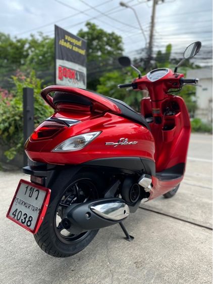 grandfilano  รูปที่ 6