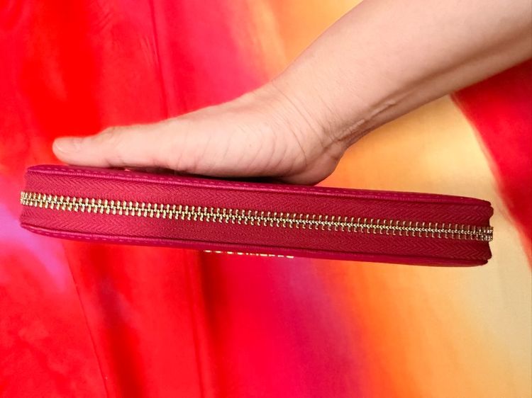 กระเป รูปที่ 14