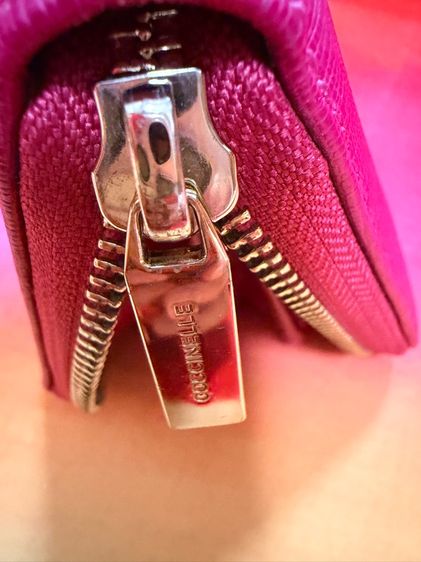 กระเป รูปที่ 12