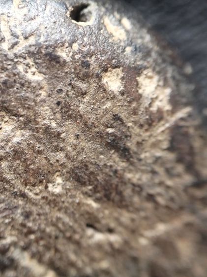 กำแพงซุ้มกอครับ รูปที่ 16