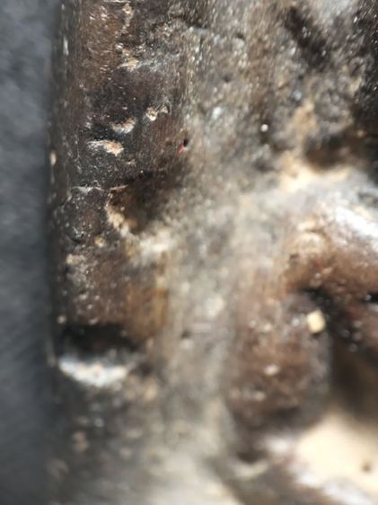 กำแพงซุ้มกอครับ รูปที่ 11