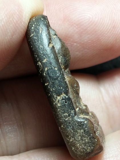 กำแพงซุ้มกอครับ รูปที่ 7