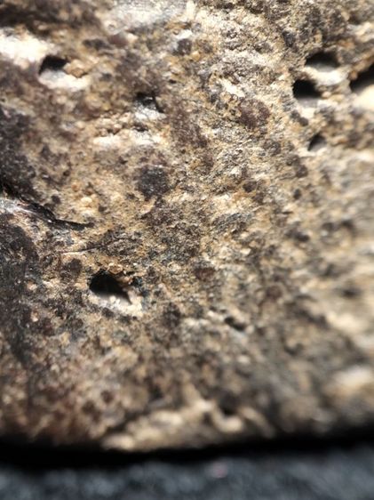 กำแพงซุ้มกอครับ รูปที่ 17