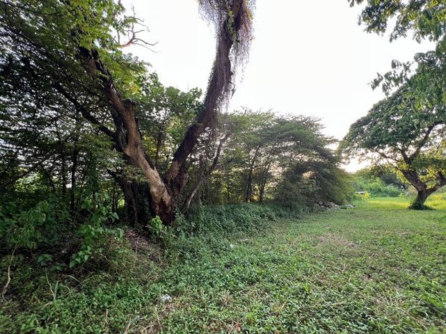 ขายด่วน ที่ดินแปลงสวย คู่ขนานมอเตอร์เวย์ กรุงเทพฯกรีฑา