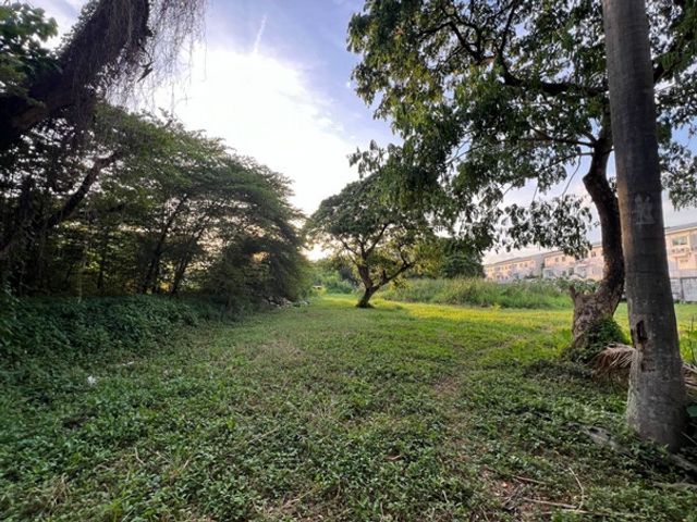 ไม่ใช่ ขายด่วน ที่ดินแปลงสวย คู่ขนานมอเตอร์เวย์ กรุงเทพฯกรีฑา รูปที่ 2