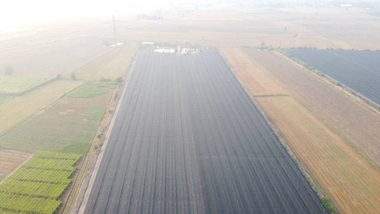 ขายที่ดิน พร้อมโรงเรือนกล้วยไม้43ไร่ นครปฐม เพียงไร่ละ650,000