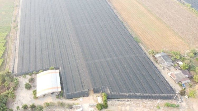 ขายที่ดิน พร้อมโรงเรือนกล้วยไม้43ไร่ นครปฐม เพียงไร่ละ650,000 รูปที่ 2