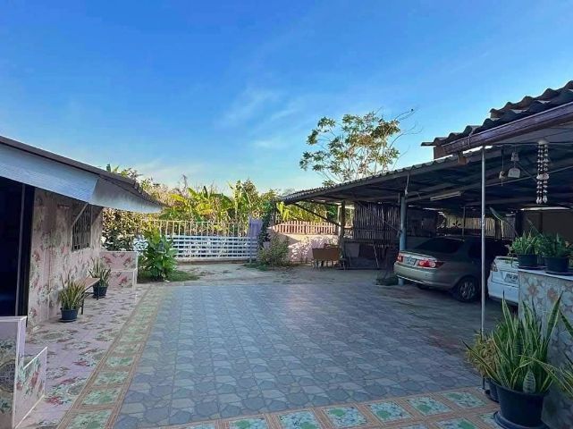 มีบางส่วน 2010 ไม่ใช่ ขายบ้านสวน ร่มรื่น รูปที่ 4