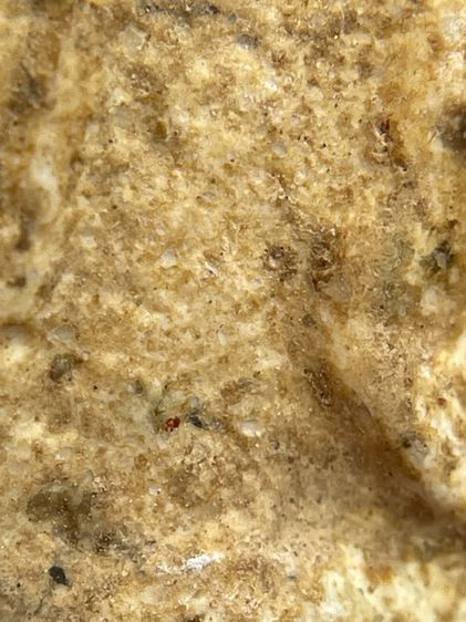 พระขุนแผนพรายกุมารหลวงปู่ทิม วัดละหารไร่ จ.ระยอง เนื้อสีขาวหลังฝังพลอย รูปที่ 11