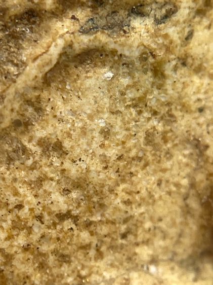 พระขุนแผนพรายกุมารหลวงปู่ทิม วัดละหารไร่ จ.ระยอง เนื้อสีขาวหลังฝังพลอย รูปที่ 10