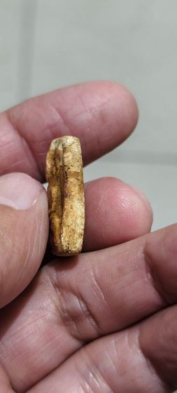 เนื้อเก่าๆ รูปที่ 8