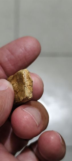 เนื้อเก่าๆ รูปที่ 11