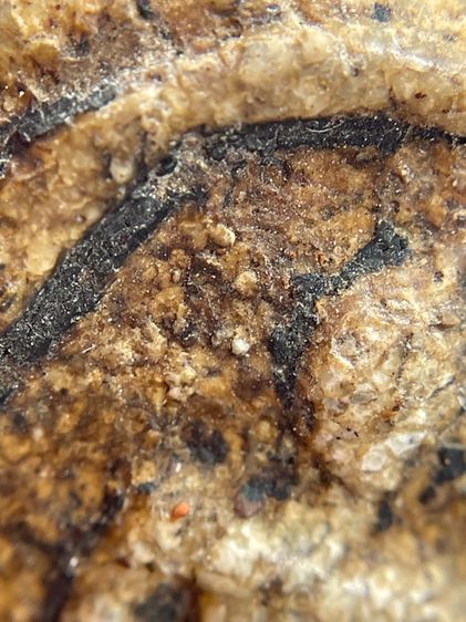 พระสมเด็จวัดระฆังพิมพ์ใหญ่ เนื้อหาเก่าสวยสมอายุพระน่าเก็บสะสม รูปที่ 12