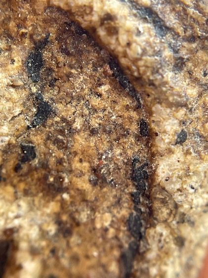 พระสมเด็จวัดระฆังพิมพ์ใหญ่ เนื้อหาเก่าสวยสมอายุพระน่าเก็บสะสม รูปที่ 11