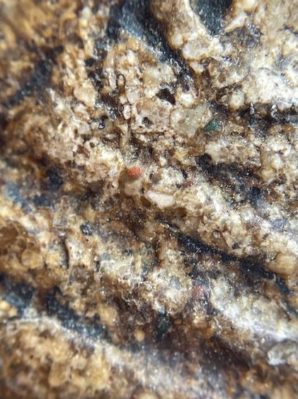 พระสมเด็จวัดระฆังพิมพ์ใหญ่ เนื้อหาเก่าสวยสมอายุพระน่าเก็บสะสม รูปที่ 10