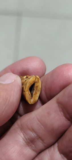 ไม้วัดขนาดเก่าๆ รูปที่ 11