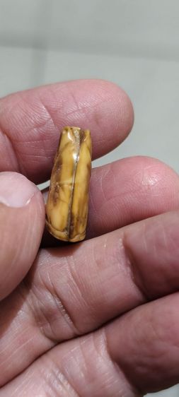 ไม้วัดขนาดเก่าๆ รูปที่ 8