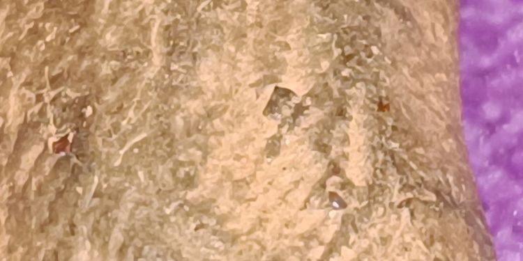 พระรอด กรุวัดมหาวัน ลำพูน รูปที่ 4