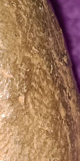 พระรอด กรุวัดมหาวัน ลำพูน รูปที่ 9