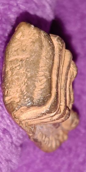 พระรอด กรุวัดมหาวัน ลำพูน รูปที่ 8