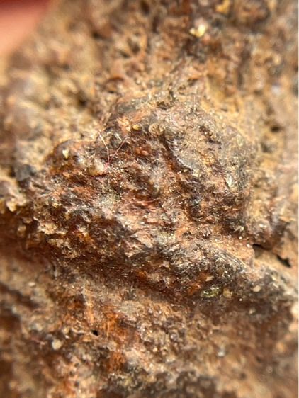 เศียรครูพ่อแก่ผงว่านยาจินดามุนี หลวงปู่บุญ วัดกลางบางแก้ว นครปฐม (047) รูปที่ 9