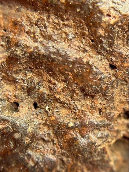 เศียรครูพ่อแก่ผงว่านยาจินดามุนี หลวงปู่บุญ วัดกลางบางแก้ว นครปฐม (047) รูปที่ 6