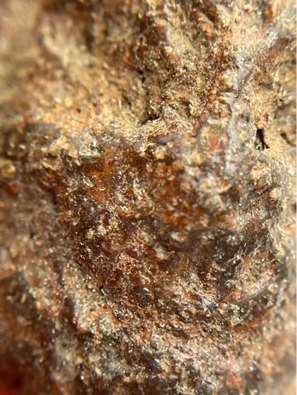 เศียรครูพ่อแก่ผงว่านยาจินดามุนี หลวงปู่บุญ วัดกลางบางแก้ว นครปฐม (047) รูปที่ 8