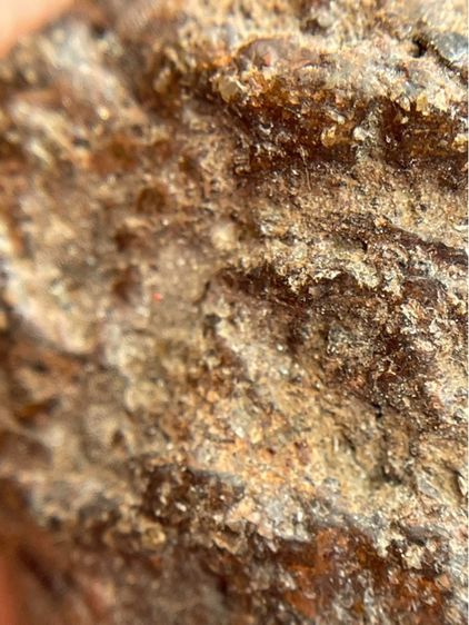 เศียรครูพ่อแก่ผงว่านยาจินดามุนี หลวงปู่บุญ วัดกลางบางแก้ว นครปฐม (047) รูปที่ 7