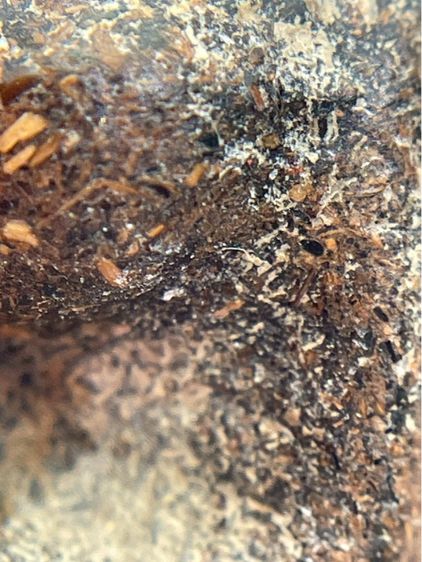 พระปิดตาเนื้อผงยาจินดามณี(096) รูปที่ 8