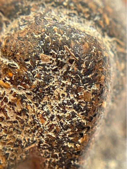 พระปิดตาเนื้อผงยาจินดามณี(096) รูปที่ 7