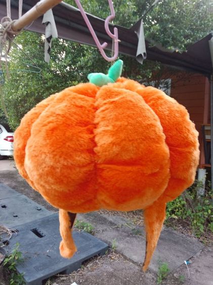หมวก  รูปที่ 2