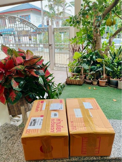 น้ำยาล้างจานสูตรมะกรูด รูปที่ 5