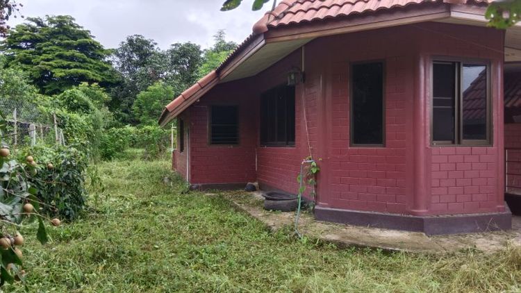 ไม่มี บ้านเดี่ยว พร้อมที่ดินติดถนนคอนกรีต รูปที่ 3