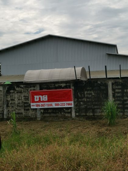 ไม่ใช่ ขายคลังสินค้าโรงงาน รูปที่ 2