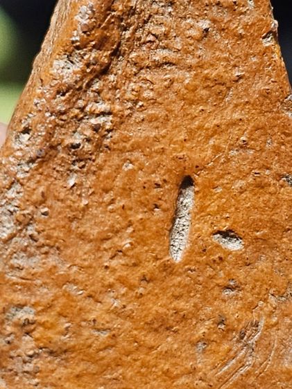 พระนางพญา